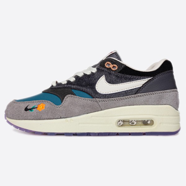 Nike x KASINA Air Max 1 