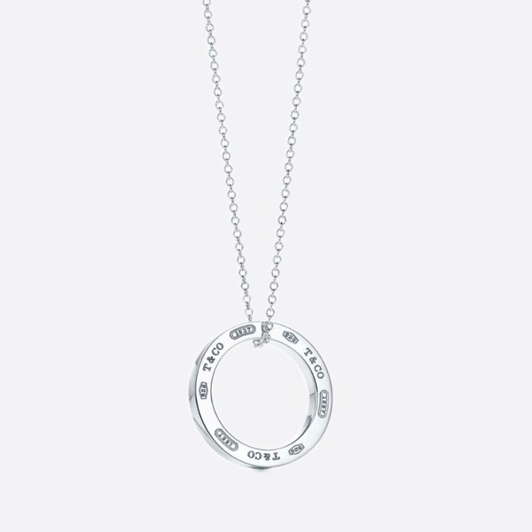 Tiffany & Co. Anchoring Necklace with Pendant Chain