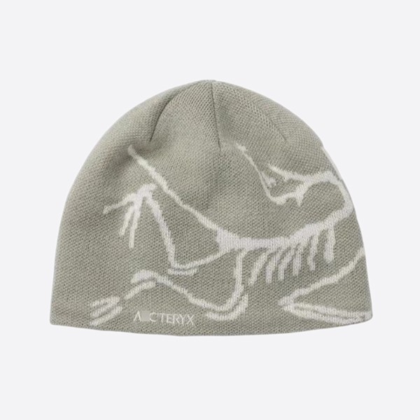 Arc'teryx Birdhead Toque 