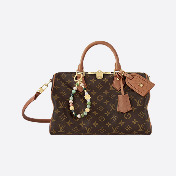 Louis Vuitton Speedy Soft 30 Bohemian Bag N87212
