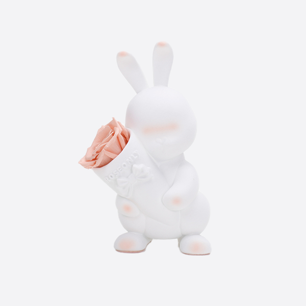 Rose Only Sweetheart Rabbit Preserved Flower Doll